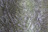 Field Green fibreglass roof work